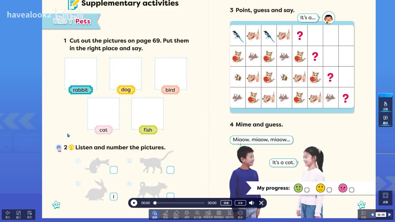 Supplementary activities