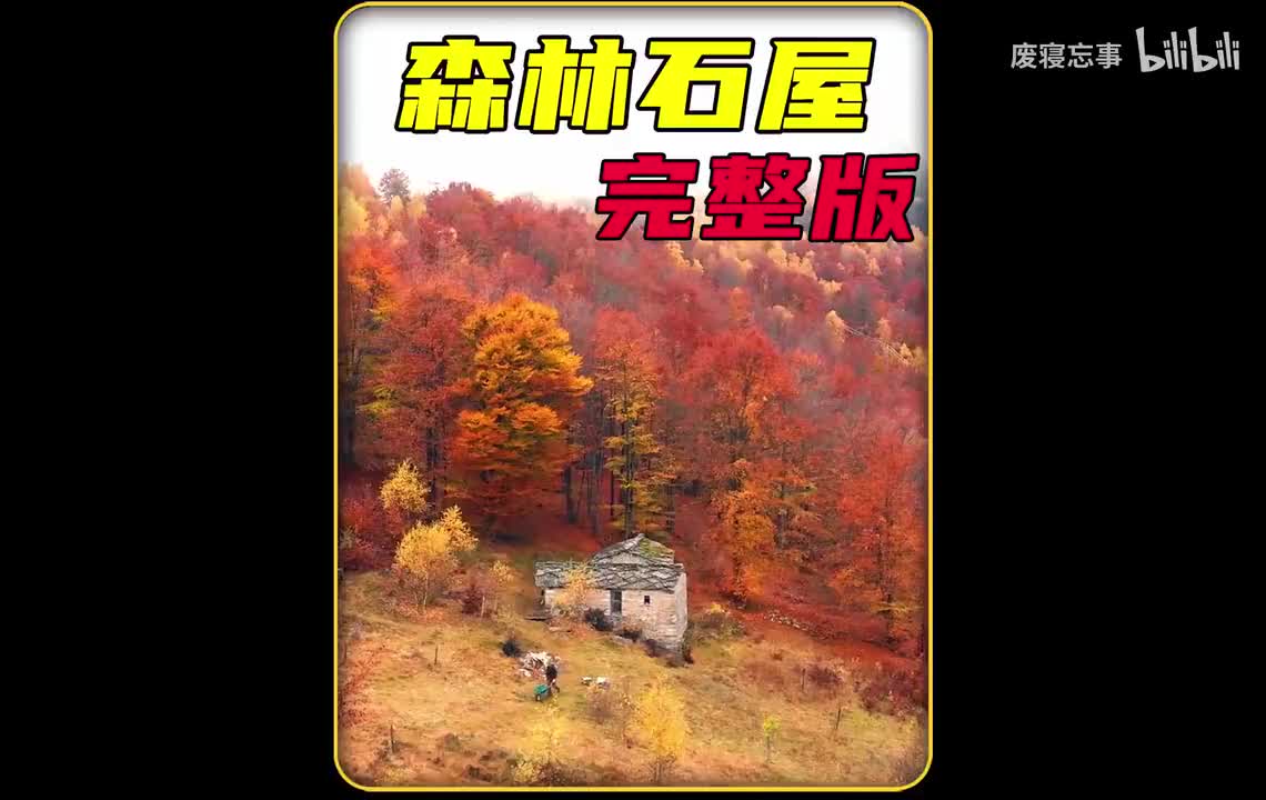 荒野建造100