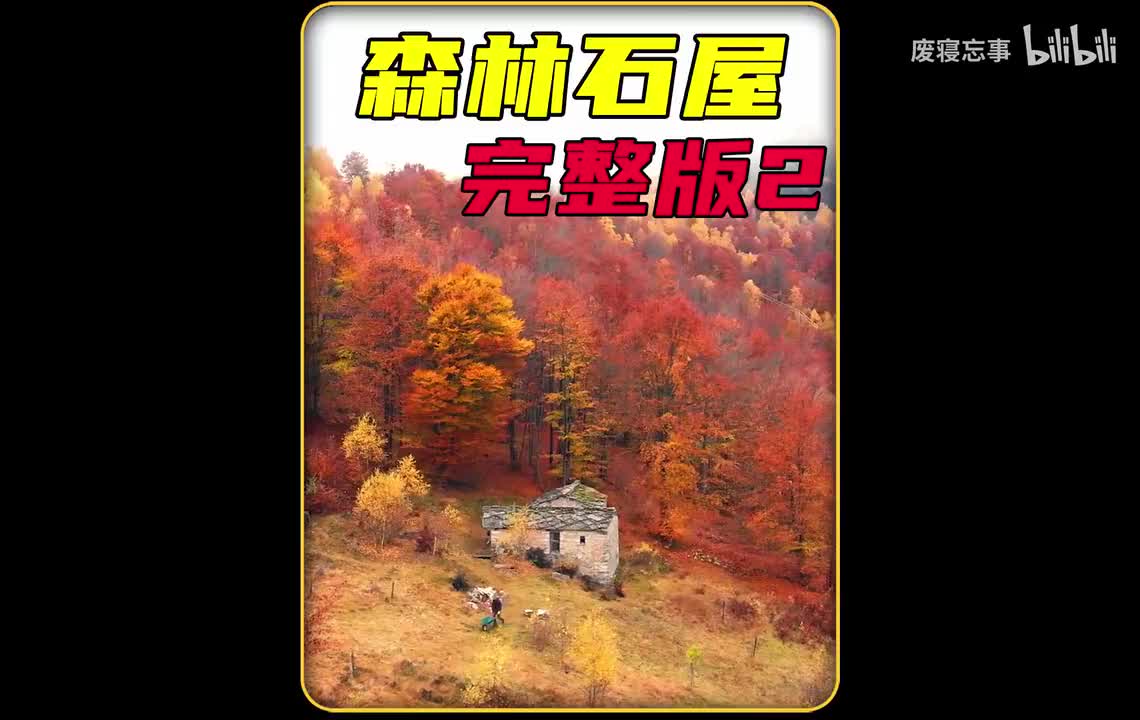 荒野建造103