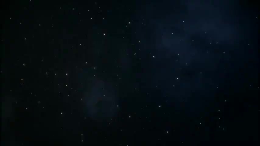 真是受够了人们对肥胖的恐惧