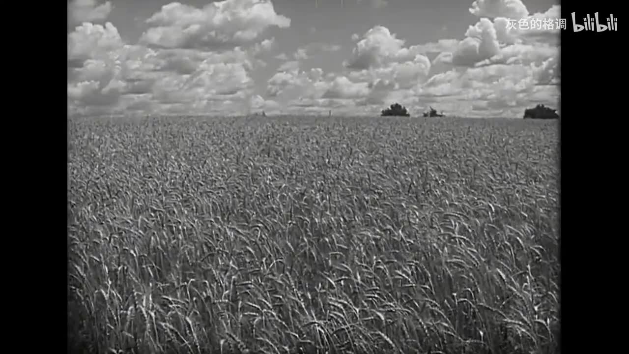 马评《公社好儿女》-1080P