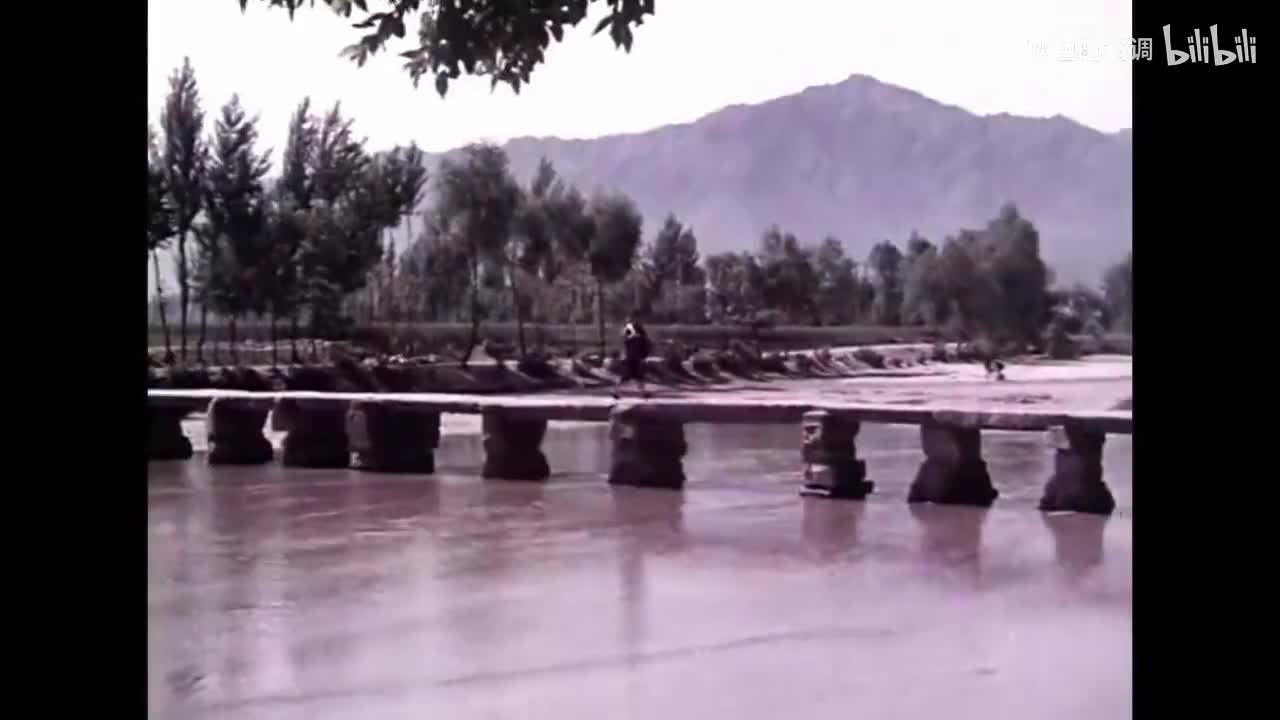 农业学大寨歌曲《一花引来万花开》-720P