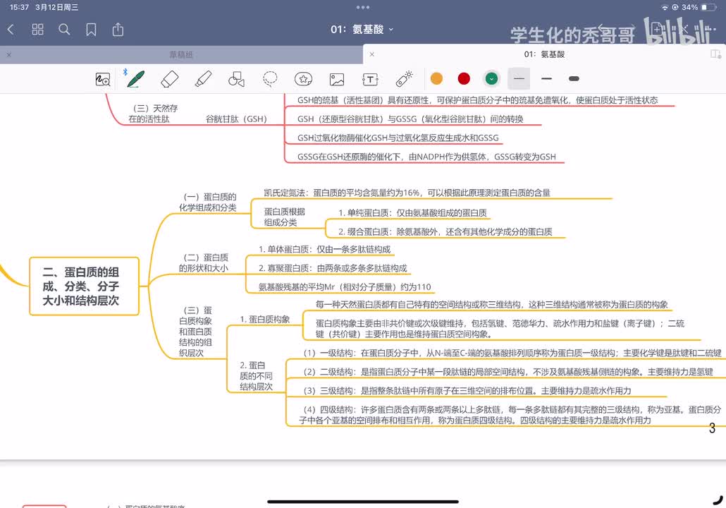 02：肽和蛋白质02