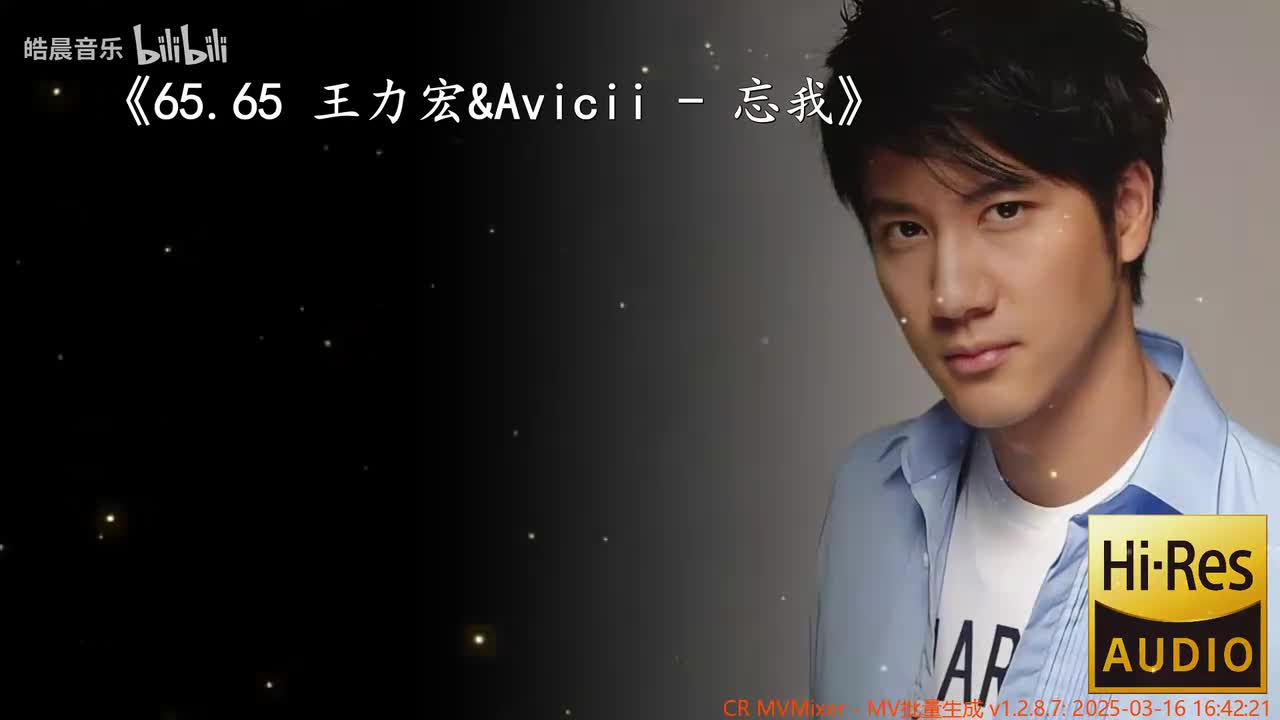65.65 王力宏&Avicii - 忘我