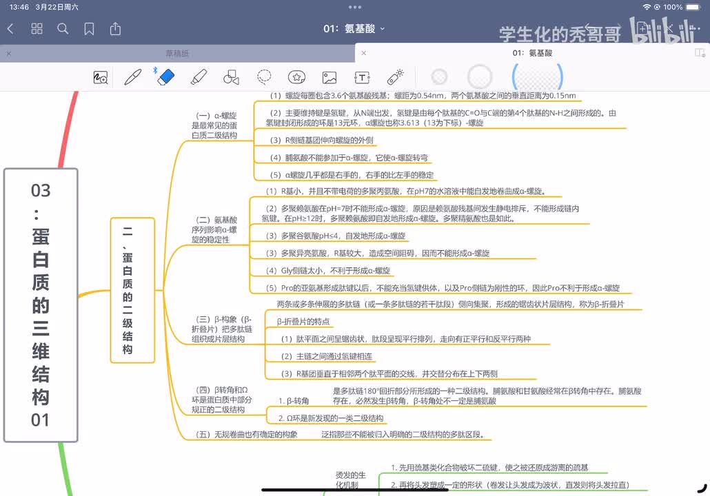 03：蛋白质的三维结构01