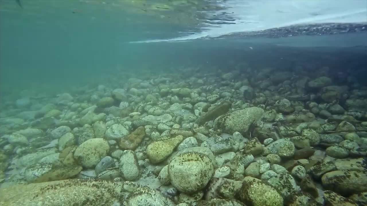 伏尔加河野性国度 大河诞生 7