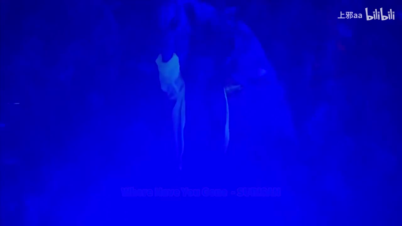 082. Where Have You Gone (DJ Zulan Extended) - SURISAN