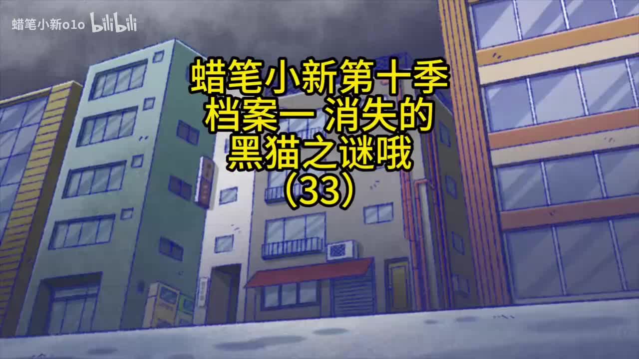 33档案一消失的黑猫之谜