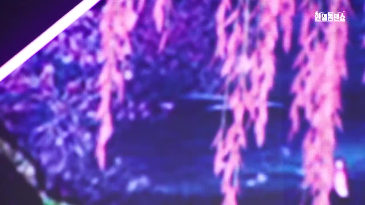 250217 - 回龍浦