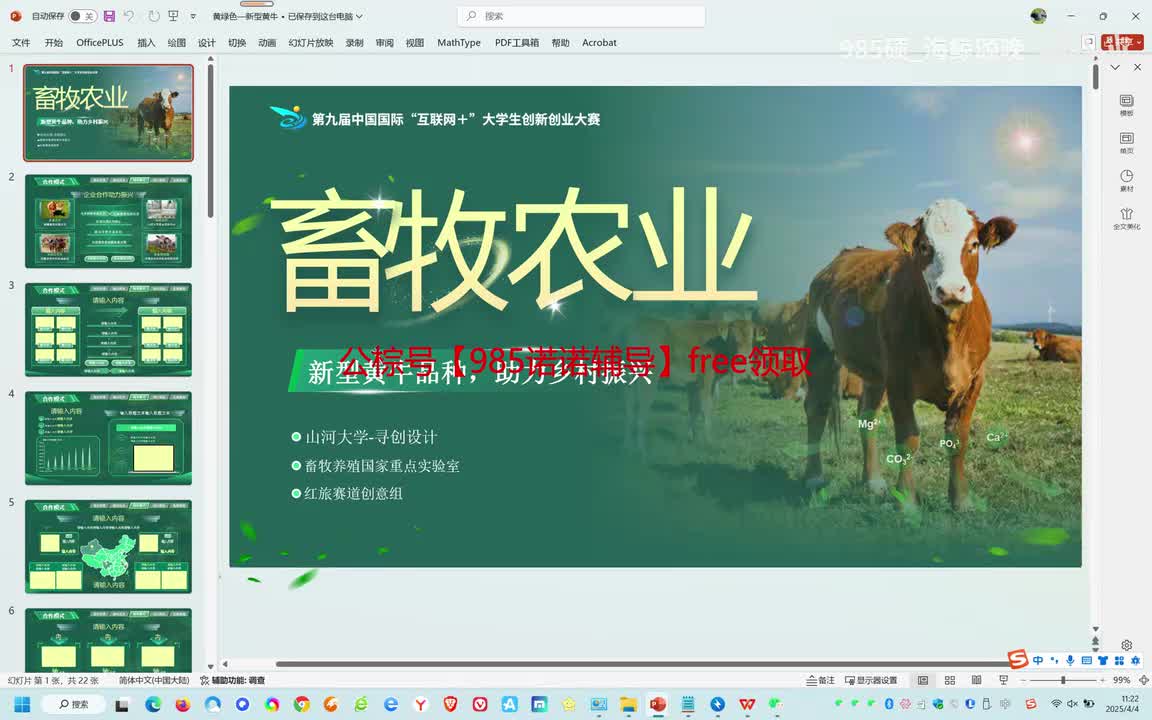 国金水平-农业类-新型黄牛品种，助力乡村振兴