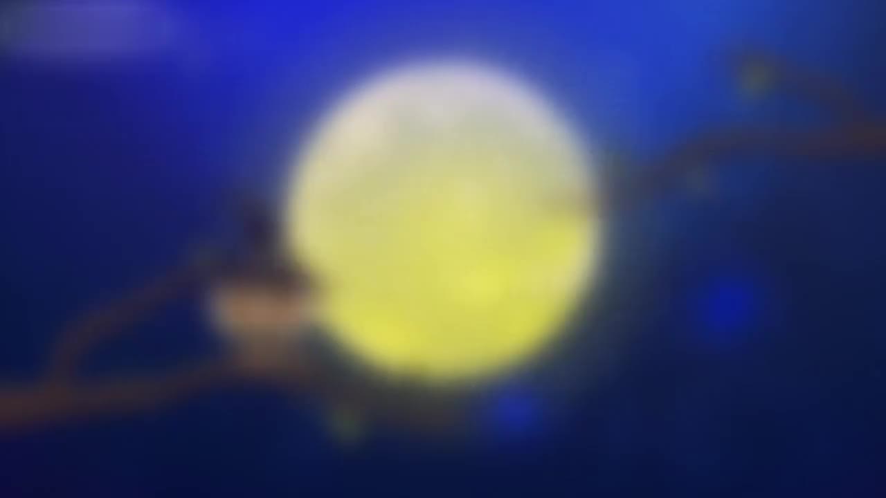 22、第二十二讲_三角形的认识及性质
