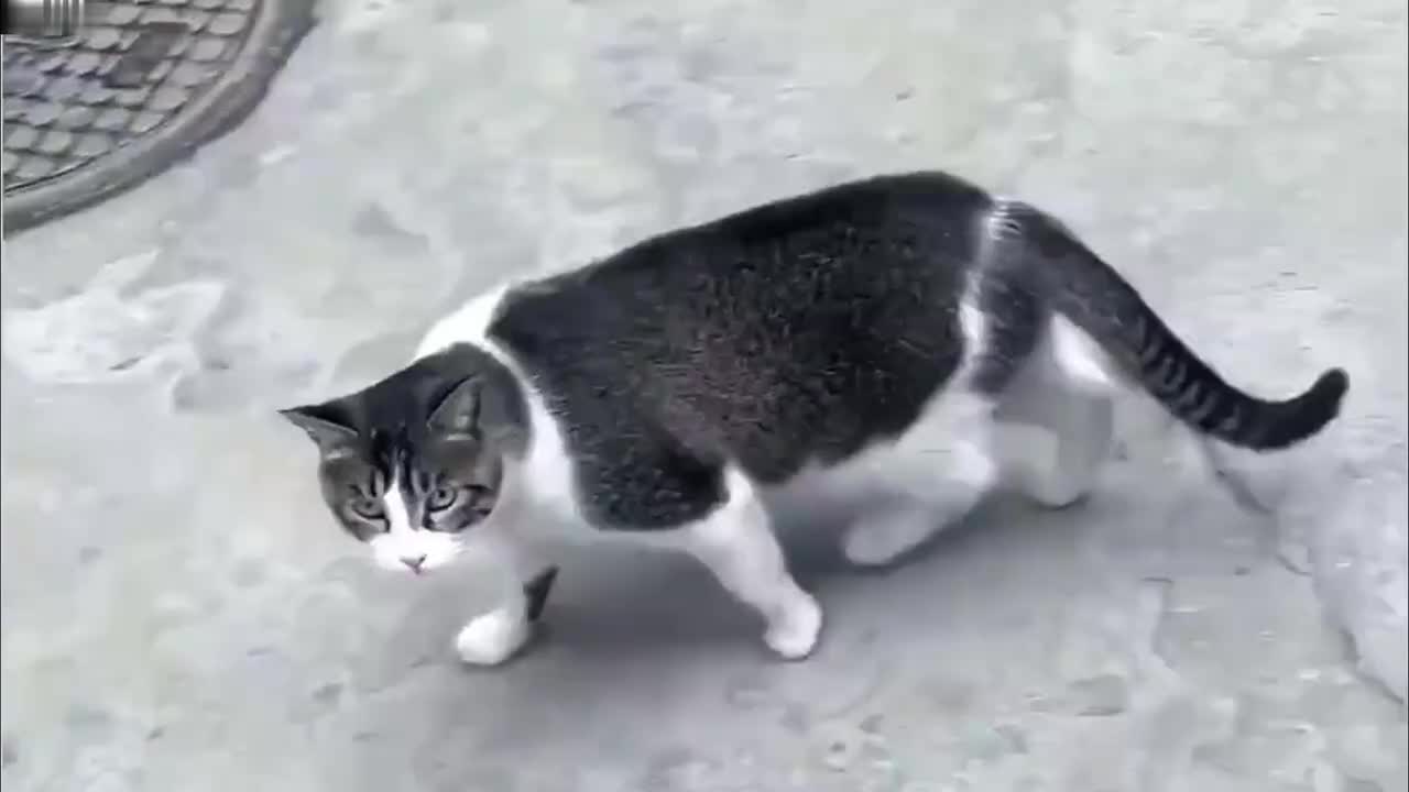 2.剪辑软件和明确主题