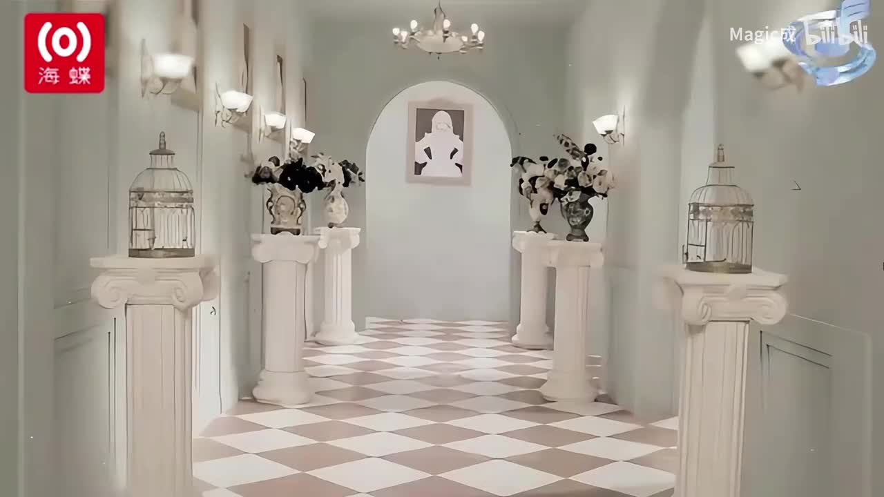 大张伟-阳光彩虹小白马