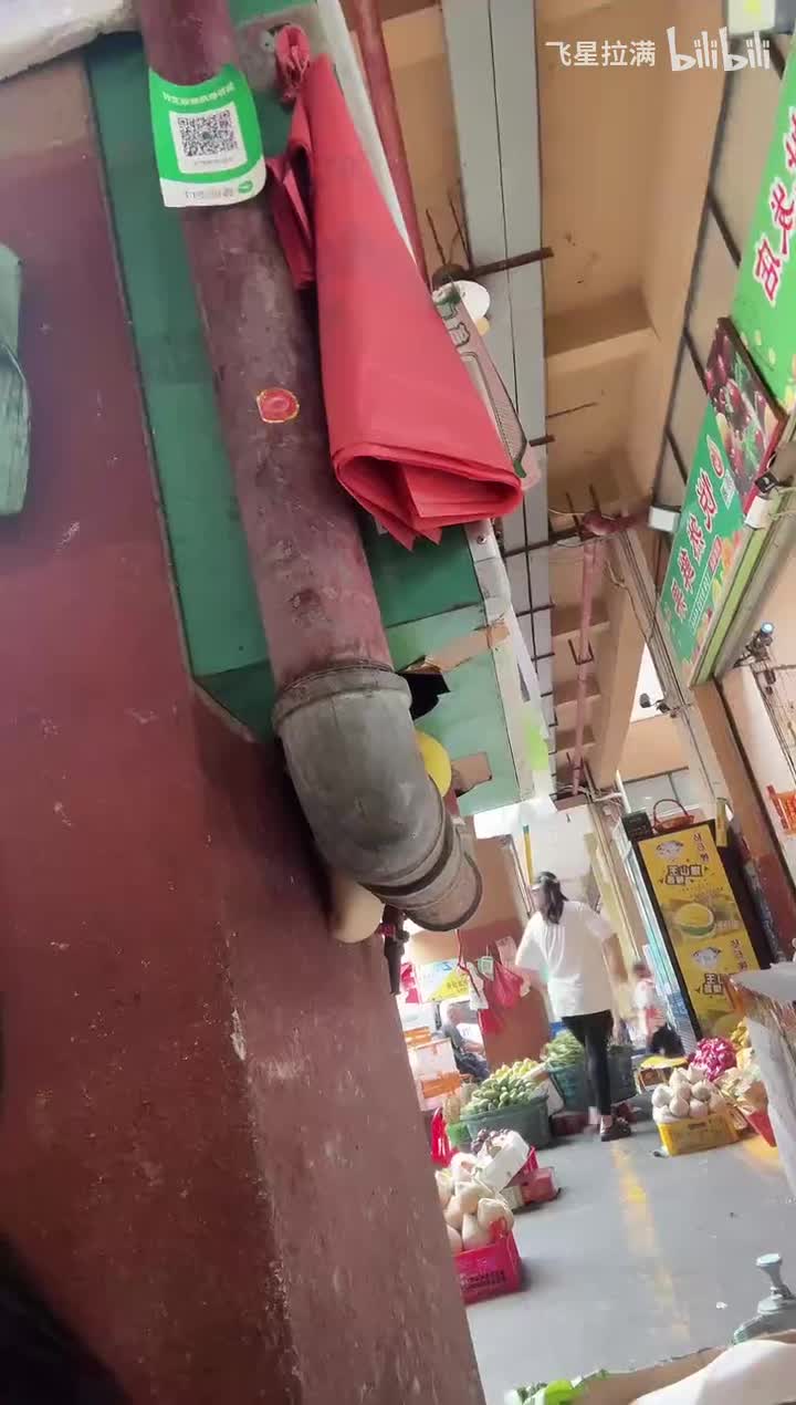 2025-04-06_170327_转码