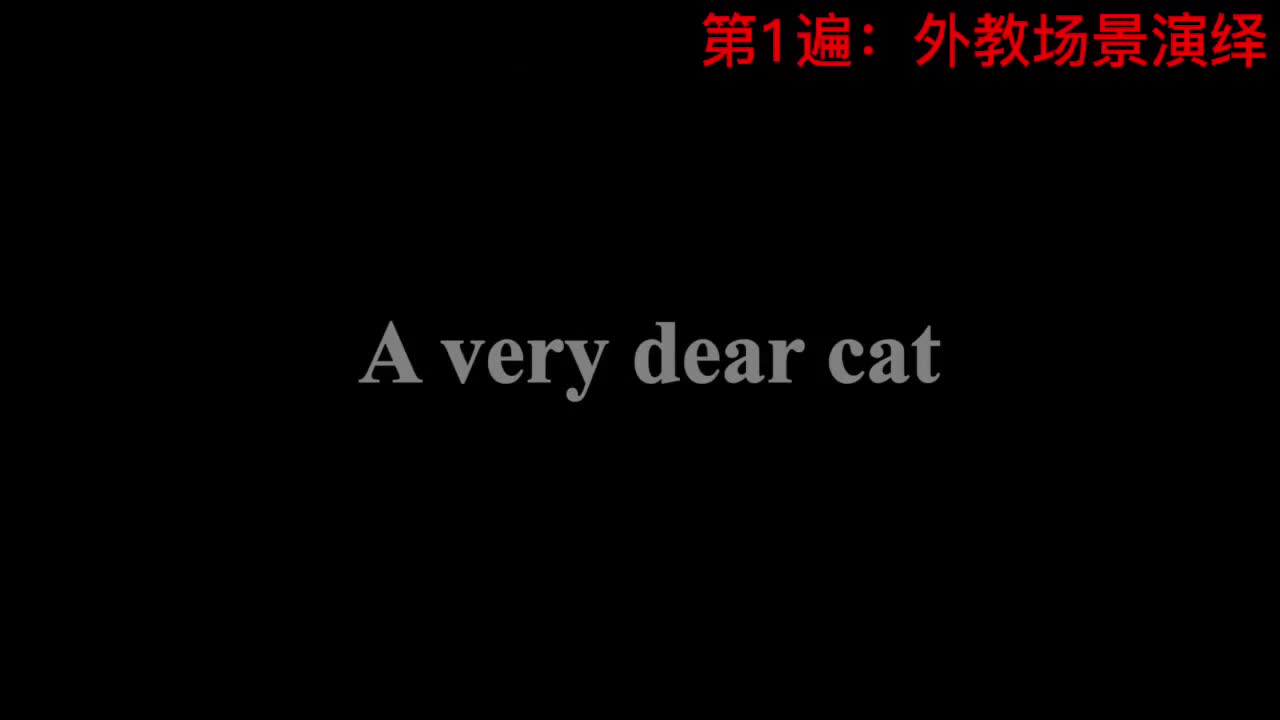 【新概念3】Lesson 19 A very dear cat 一条贵重的宝贝猫