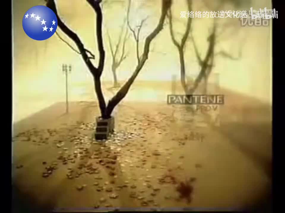 辽宁都市频道 潘婷润发精华素