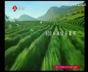康师傅茶味心情