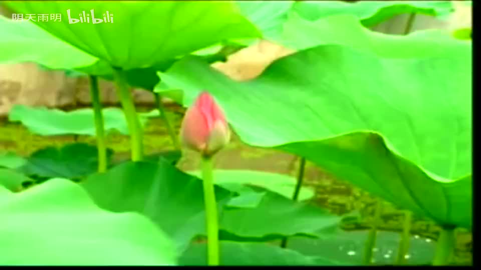 民间小调《刘拐脚》 01 陈良福 卢玉萍