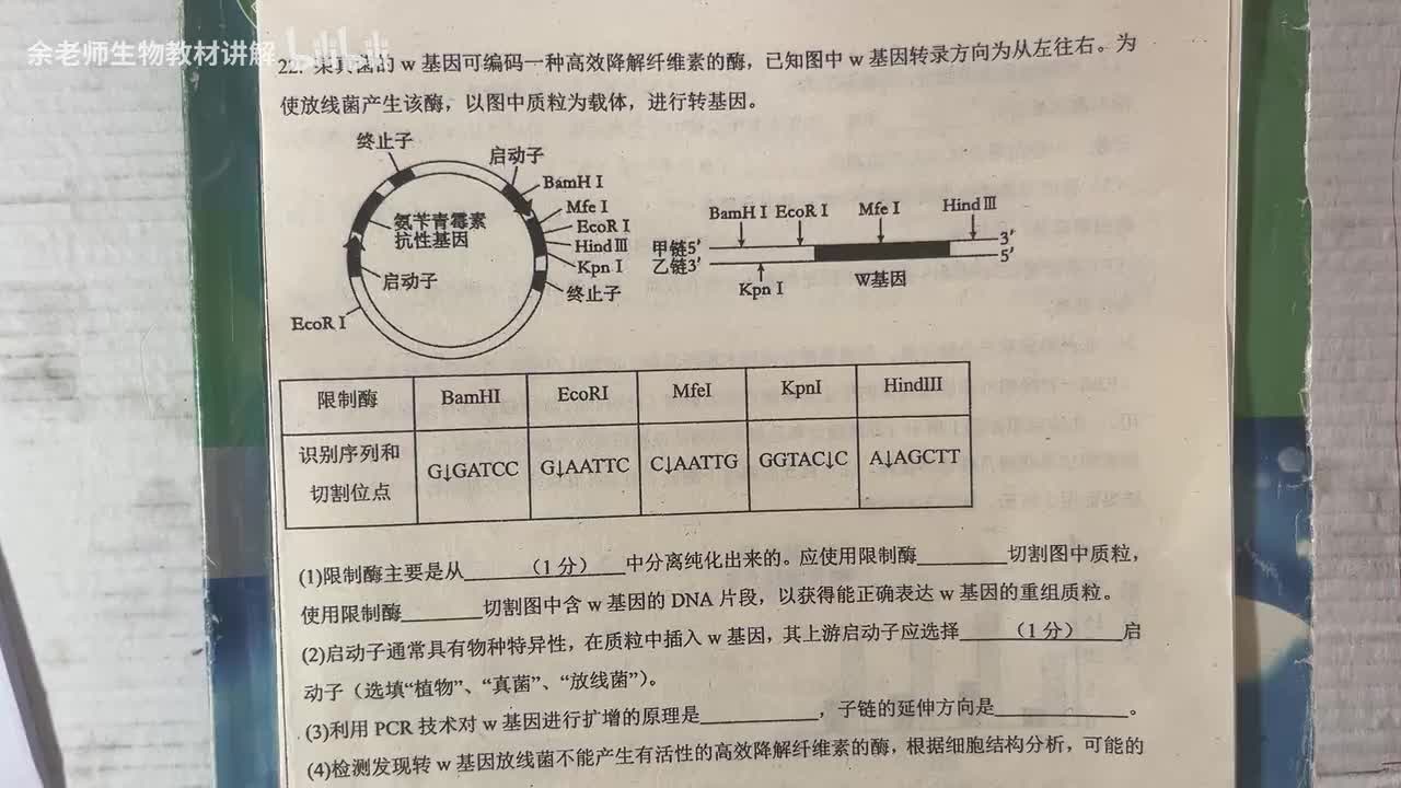 1.基因工程大题模式例题（详细讲解）2.众多限制酶 该如何选择