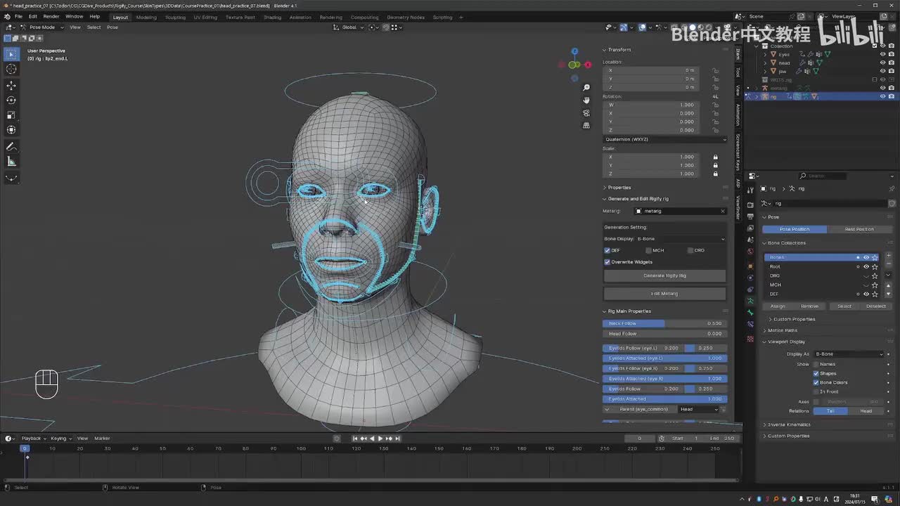第2章：P5-1 眉毛和眼部区域