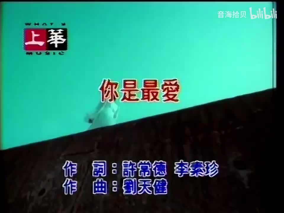 你是最爱 - 许茹芸