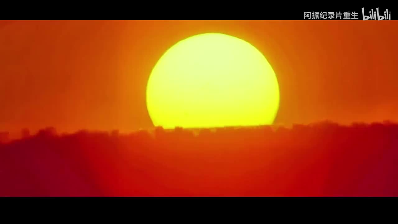 《大决战淮海战役》4K超清修复无删减完整版 阿振再次复活