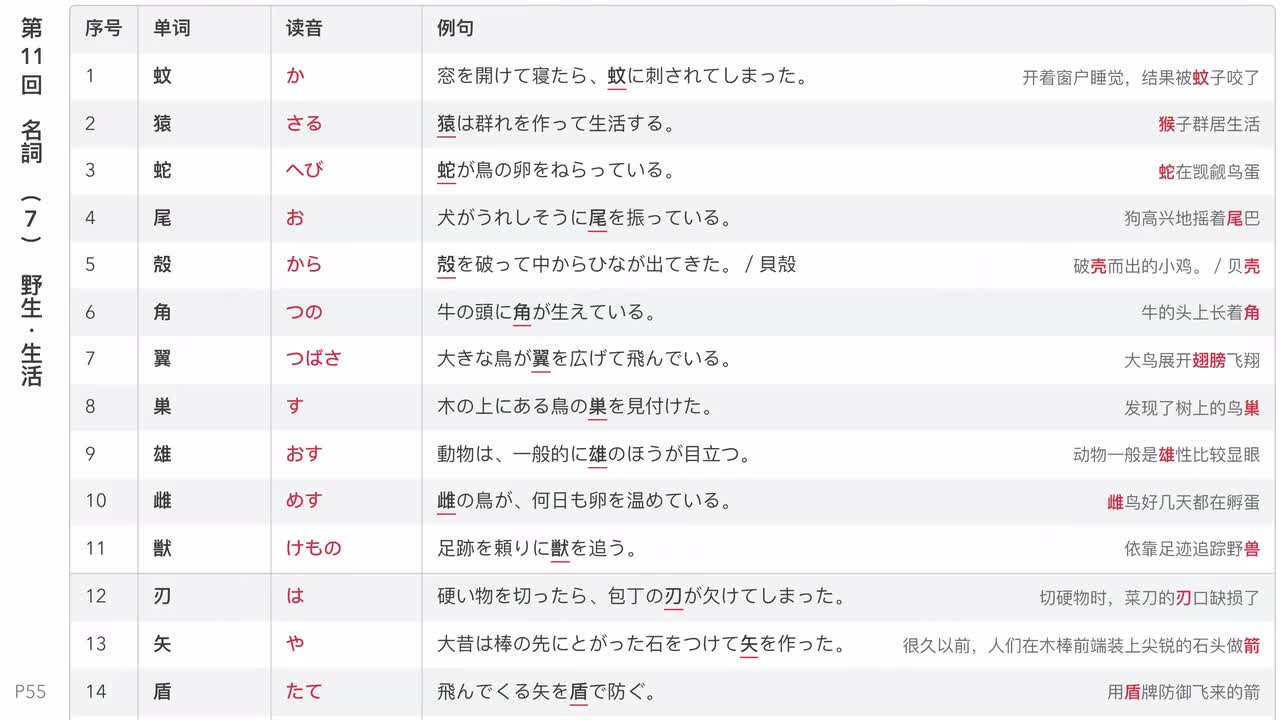 第11回 名詞 (7) 野生・生活 (8) 経済・生活 (9) 時・空間