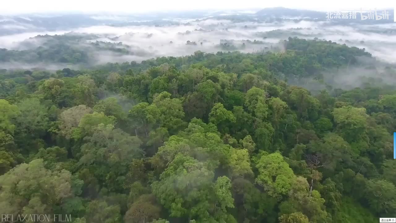 Forrest Gump Suite-Alan Silvestr