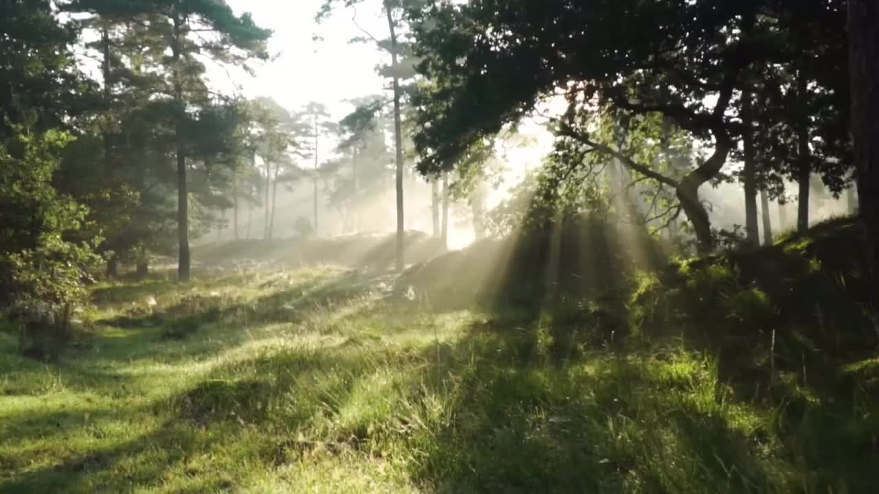 500001640310408-1-192