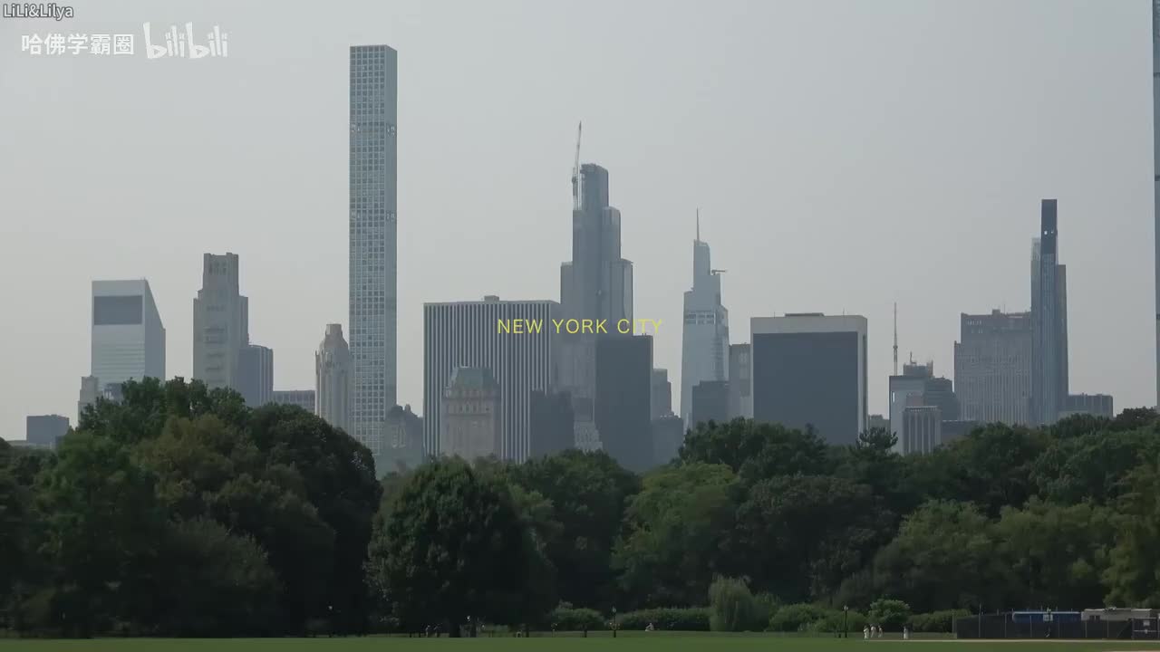 071-Lets go to new york city!