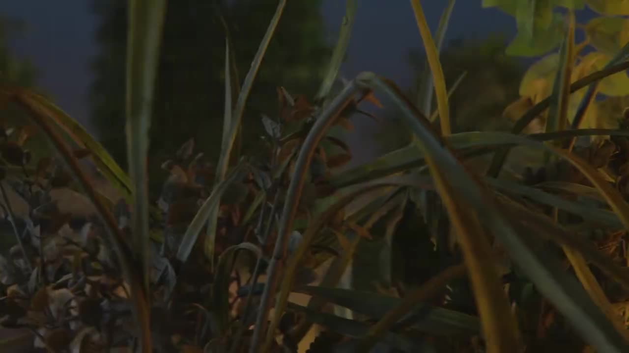 第二十一集（4）