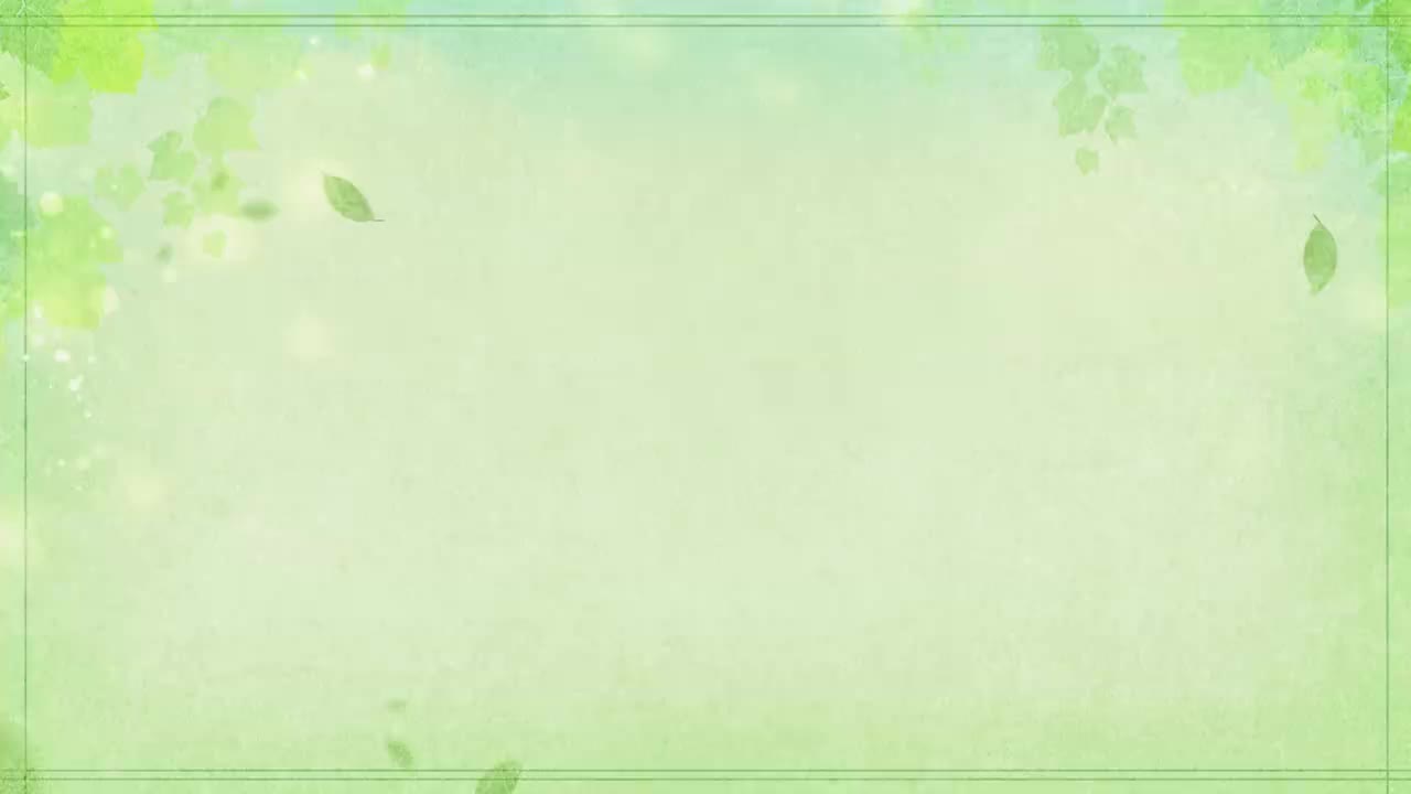 250504 一镜到底 HANDS UP