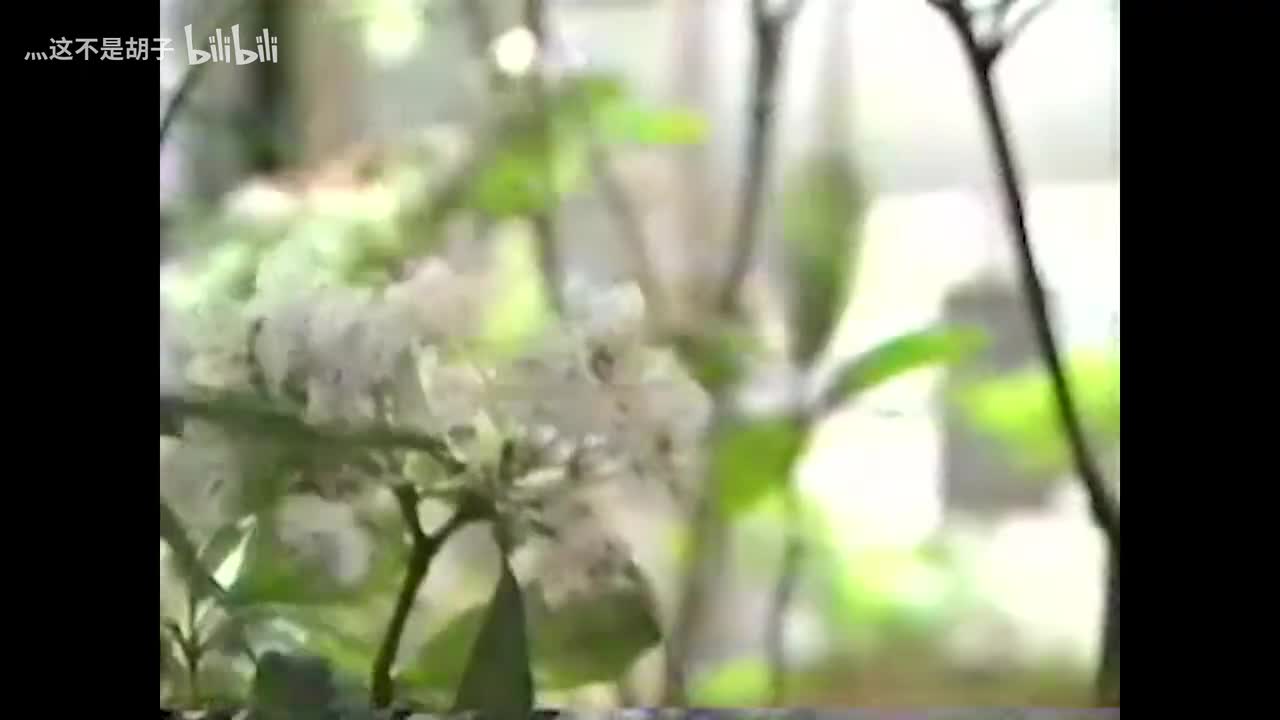 ③ユリコちゃん（真相）