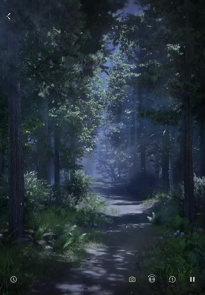 密约：坠空博弈