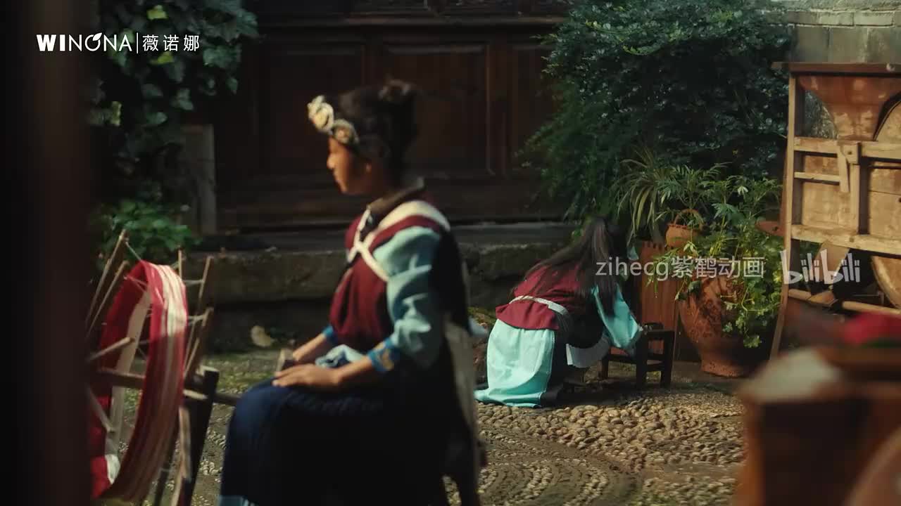 中国广告影片金狮奖2024(6)