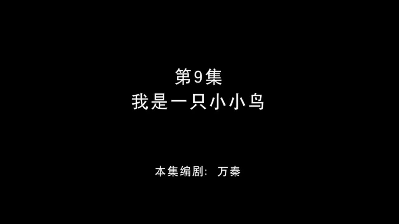 我是一只小小鸟