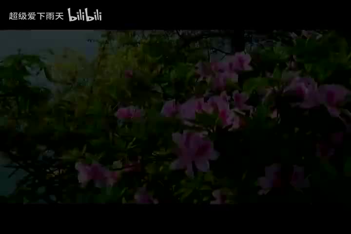 037.凤凰传奇-奢香夫人