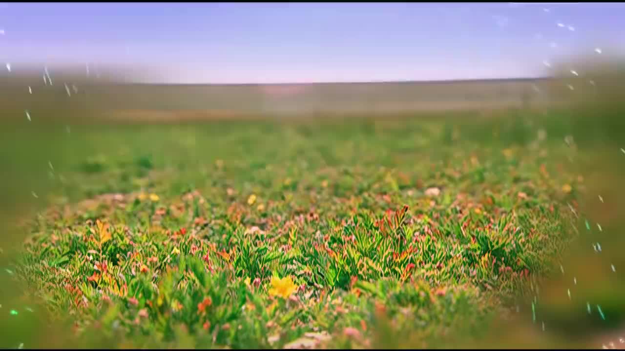 蛋神奇踪 主题曲(追梦的少年)