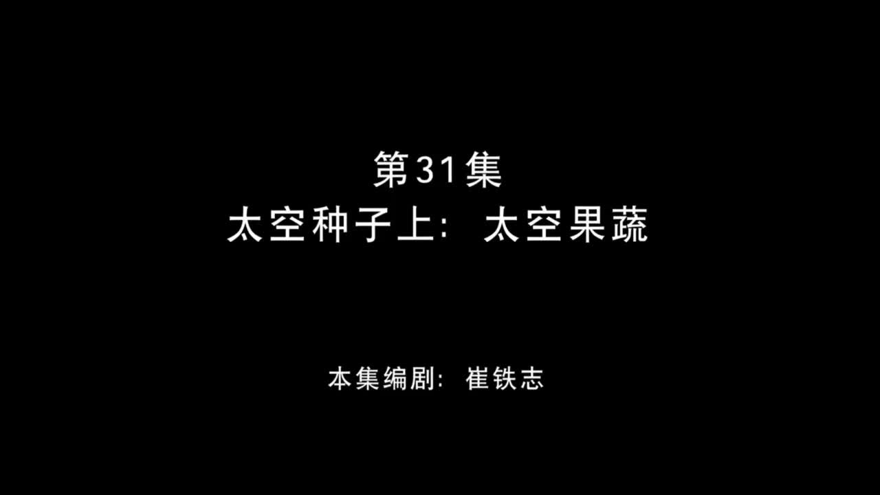 太空种子上：太空果蔬