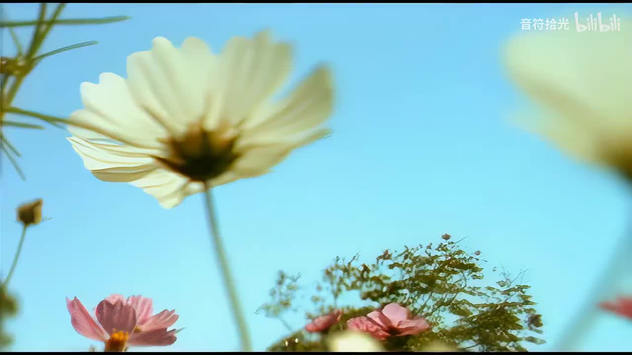 花海 - 周杰伦