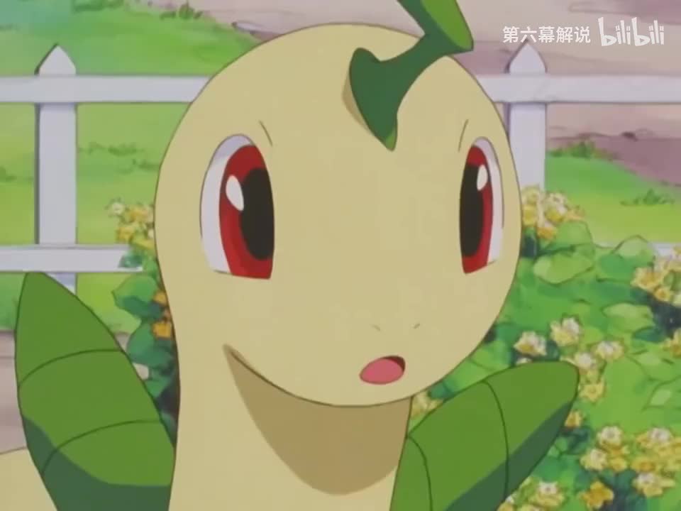 精灵宝可梦无印篇 下