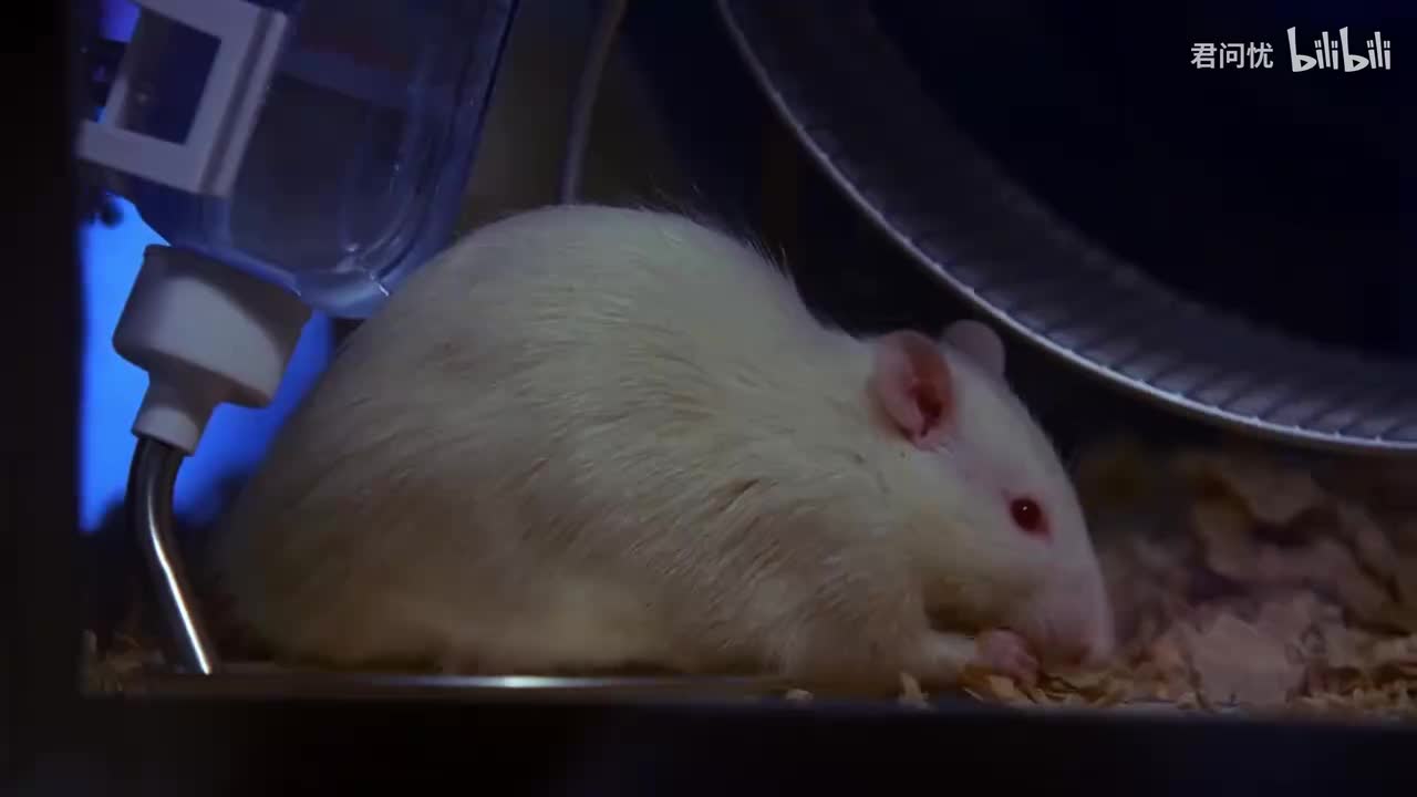 「第03集」知情同意