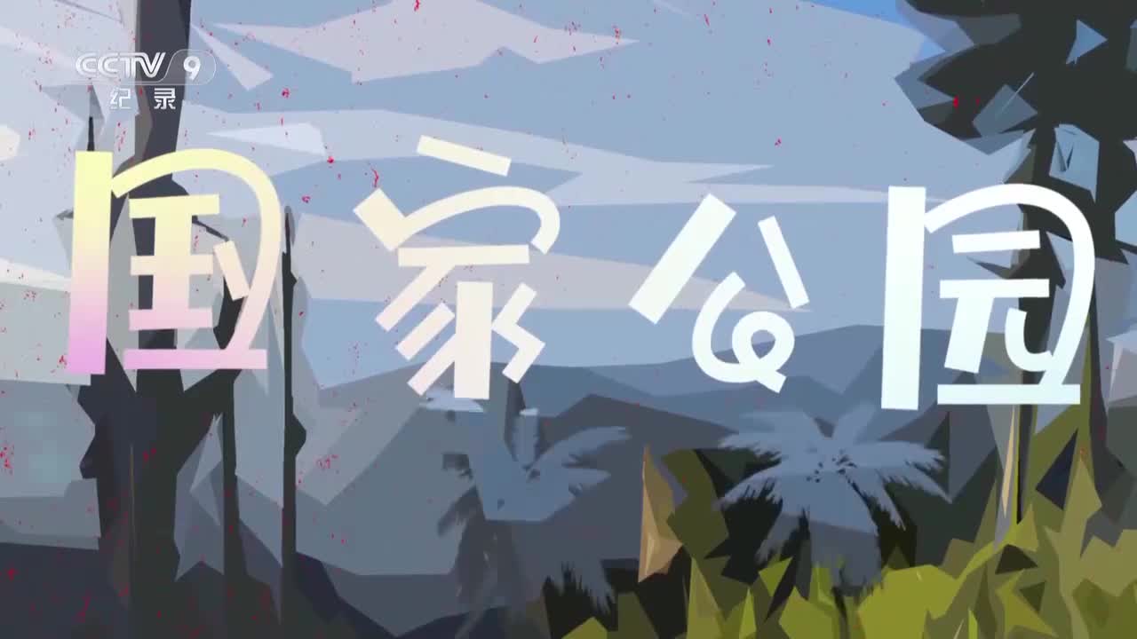 第9集：眼镜王蛇