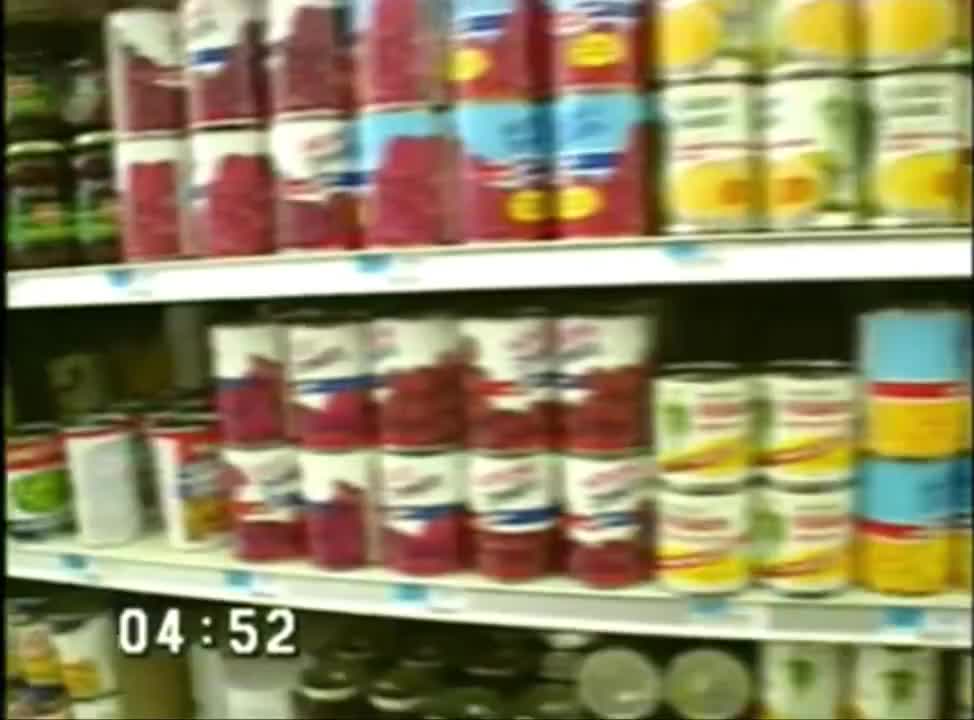 25-《洪恩环境英语》