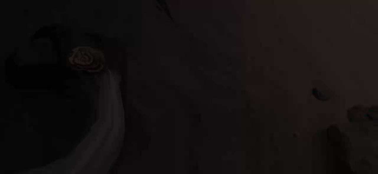 【韩】《鸣潮》动画短片 | 天明