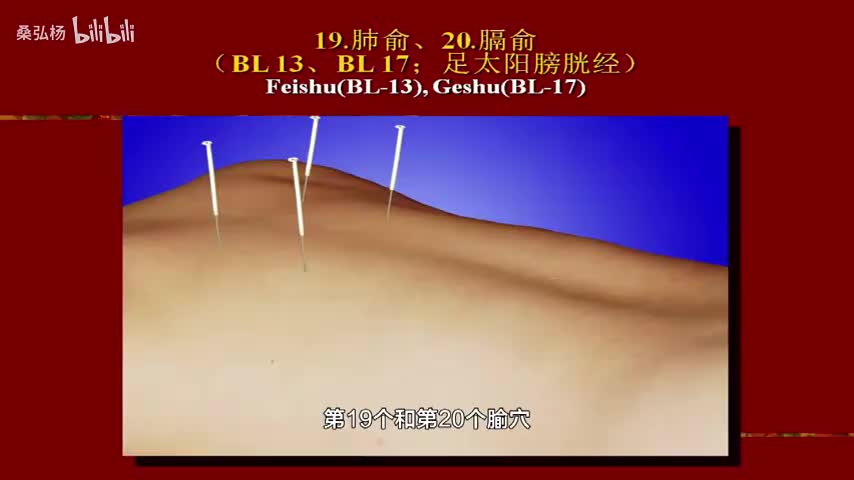 18肺俞穴和膈俞穴