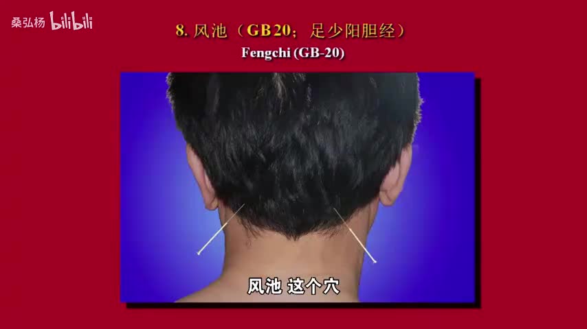 08风池穴
