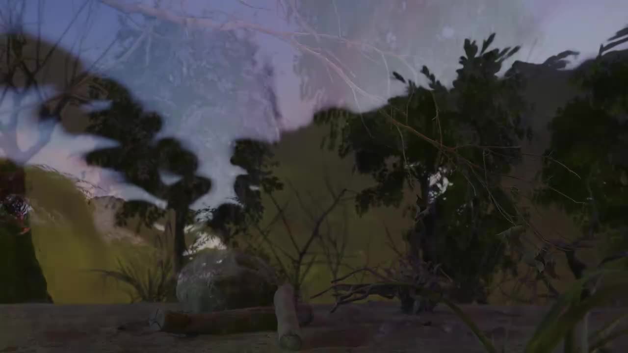 第三十一集（3）