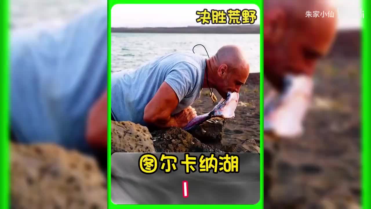 德爷决胜荒野第三季全