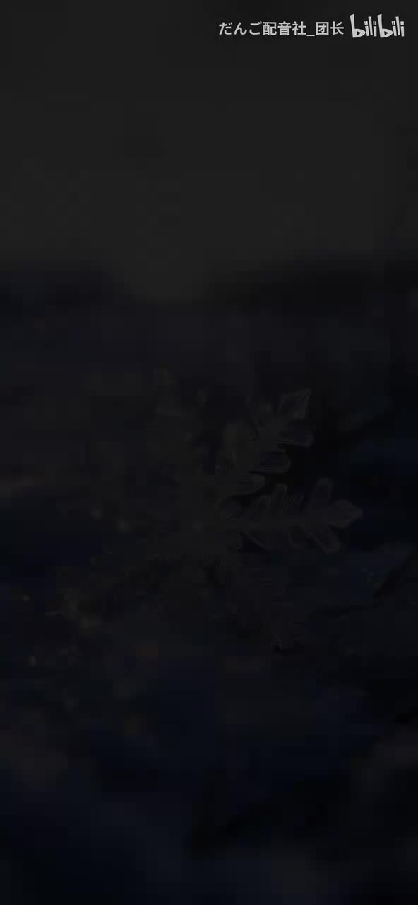 128.Sweet Rain - 雪花颂E